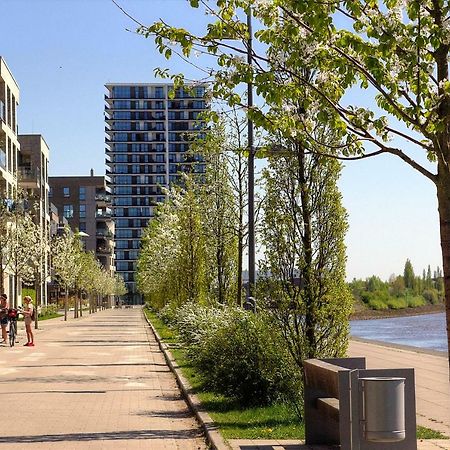 Plenus Riverloft BRE エクステリア 写真